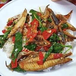 ปลาทู ผัดโหระพา ราดข้าว