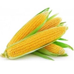 ข้าวโพดหวาน