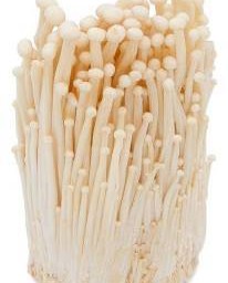 เห็ดเข็มทอง