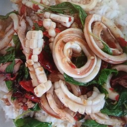 ข้าวกะเพราปลาหมึก