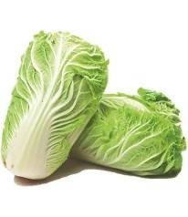ผักกาดขาว