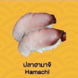 Hamachi sushi (ปลาฮามาจิ ซูชิ)
