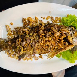 ปลากระพงทอดกระเทียม