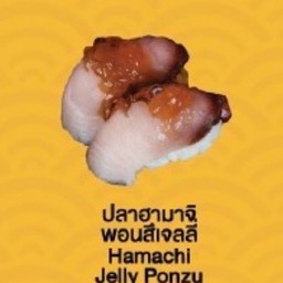 Hamachi Jelly Ponzu(ปลาฮามาจิ พอนสึเจลลี่ ซูชิ)