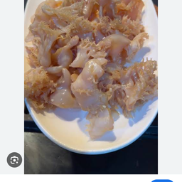 แมงกะพรุนลวกจิ้ม