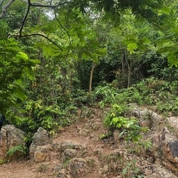 เขาฉลาก