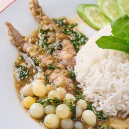 กะเพรากั้ง + ไข่ปลาเรียวเซียว