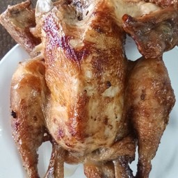 ไก่บ้านย่าง 1 ตัว