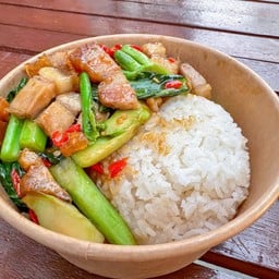 คะน้าหมูกรอบ ราดข้าว