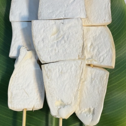 เห็ดนางรมใหญ่