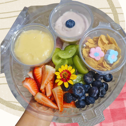 เซ็ตโมจิผลไม้ปั้นเอง ครีมชีสบลูเบอร์รี่ M