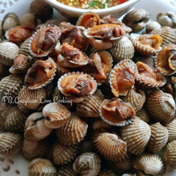 หอยแครง ครึ่งโล