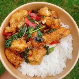 ข้าวกระเพราไก่กรอบ