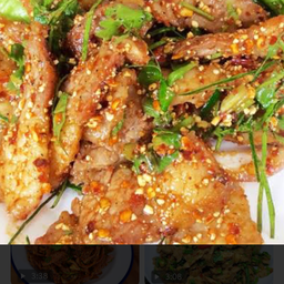 น้ำตกคอหมูย่าง