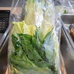 ราชาปลาเผา