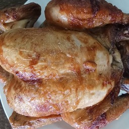 ไก่พันธุ์ย่าง 1 ตัว