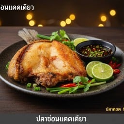 ปลาช่อนไซส์กลาง