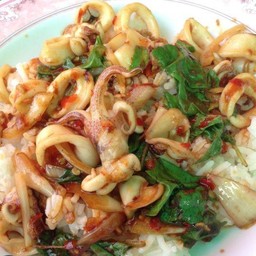 ข้าวราดผัดกะเพราปลาหมึก
