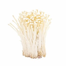 เห็ดเข็มทอง
