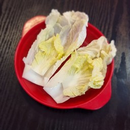 ผักกาดขาว
