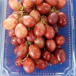 องุ่นมัสคอตคัดไซส์ ใหญ่