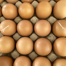 ไข่ไก่สด #1