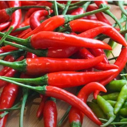 พริกสด 5 เม็ด