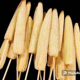 V004 ข้าวโพดอ่อน