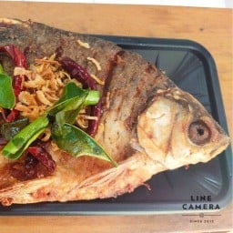 ปลาส้มสกุลศรีปลอดสาร ถ.กลางเมือง ปลาส้มสกุลศรี