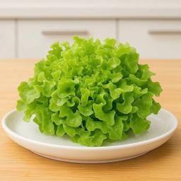 ผักสลัดตามฤดูกาล