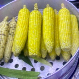 มูบาร็อค ข้าวโพดหวาน บางแฟบ