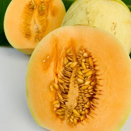 แคนตาลูป ปอกพร้อมทาน