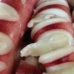 เรื่องหมึก หมึก