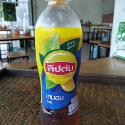 ต้นอ้อผัดไทยเตี๋ยวเป็ด