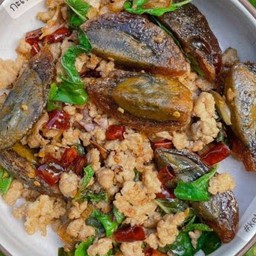 ข้าวกระเพราหมูสับไข่เยี่ยวม้า