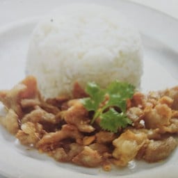 Garlic Pork With Rice