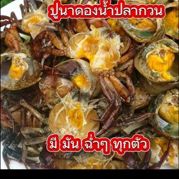 ทะเลดอง&แซลม่อนดองเกาหลี ปูดอง By CT