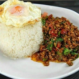 ชะอ้อนศรีจานด่วนรสเด็ด ชะอ้อนศรีจานด่วนรสเด็ด