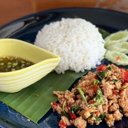 กะเพราโรงสี