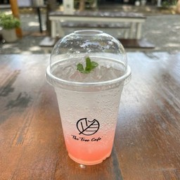 ลิ้นจี่โซดา