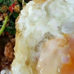 อยากขายข้าวกะเพรา สาขา9