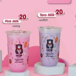 HOP Chafe โลตัสใหม่เกตุงาม