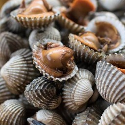 เพิ่มหอยแครง