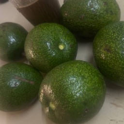 อะโวคาโด้พื้นเมืองปลูกบนเขาแบบอินทรีย์1กิโล