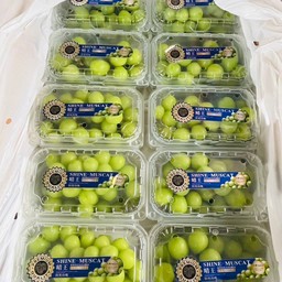 องุ่นไซมัส 10 แพ็คต่อ 1 กล่อง