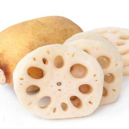 รากบัว 1 ชิ้น