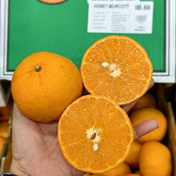 ส้มฮันนี่เมอร์คอต  Ironbark ก เขียว 56ลูก/กล่อง