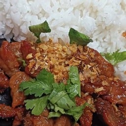 ปะป๊า...มีแต่กะเพรา หวานใจนายช่างสาขา8