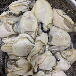 เพิ่มหอยนางรม