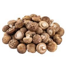 เห็ดหอมสด 1 ชิ้นใหญ่